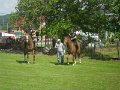 Den deti 2017   140
